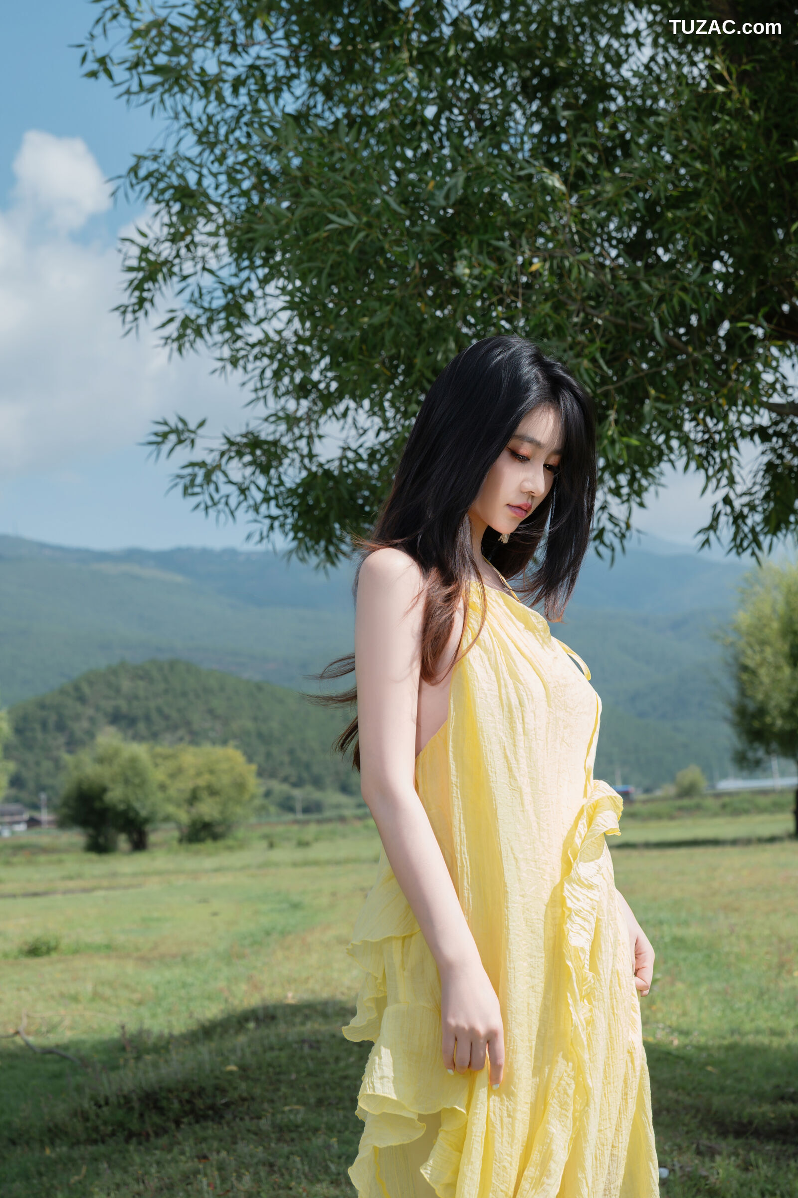 年年-绿茵