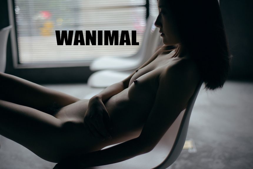 WANIMAL官方出品10月VIP无圣光套图[124P]
