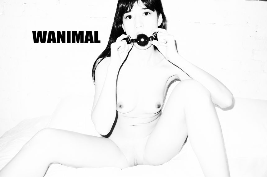 WANIMAL官方出品7月VIP无圣光套图[72P]
