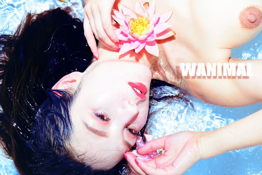 WANIMAL官方出品7月VIP无圣光套图[72P]