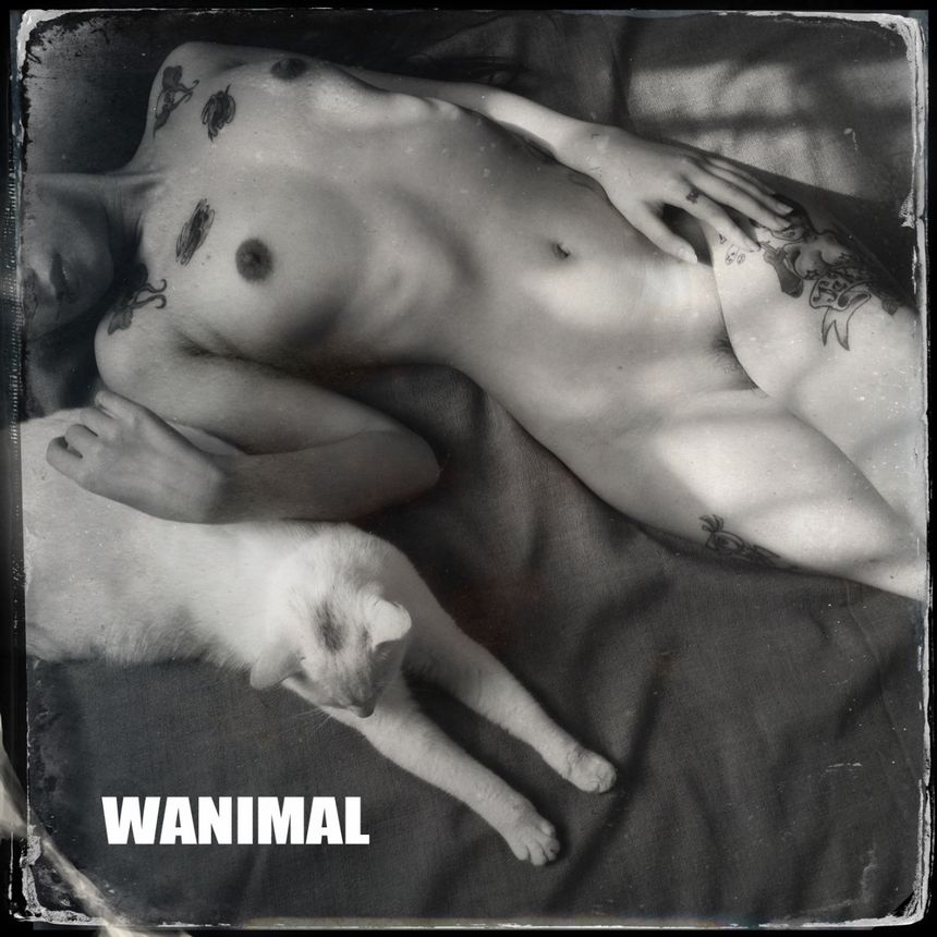 WANIMAL出品无圣光套图[125P]