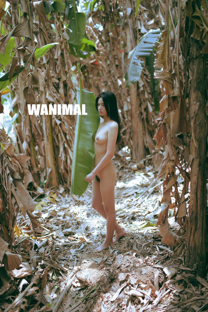 WANIMAL出品无圣光套图（十三）[104P]
