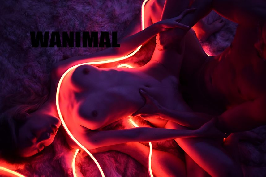 WANIMAL出品无圣光套图（十三）[104P]