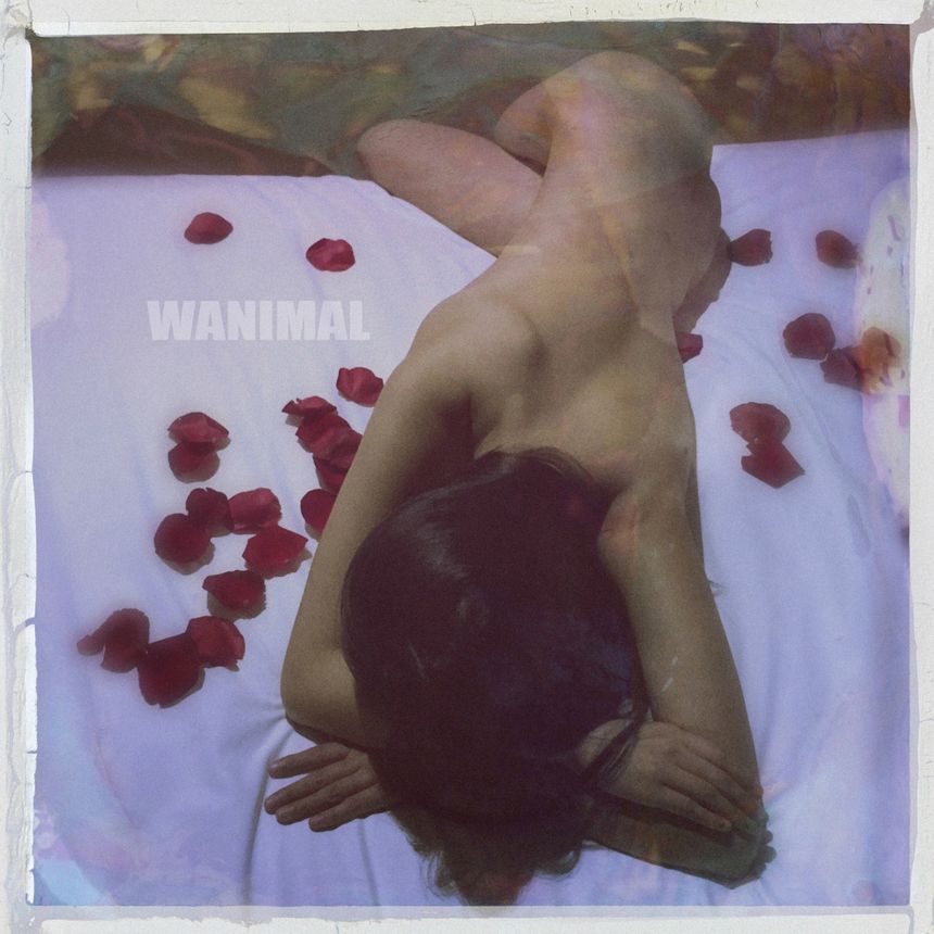WANIMAL出品无圣光套图（二十一）[104P]