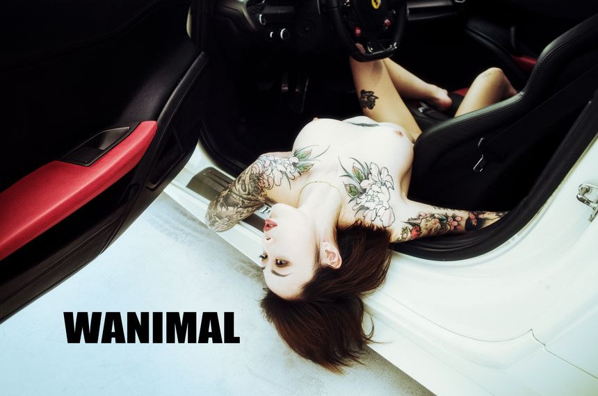 WANIMAL官方出品法拉利女孩VIP无圣光套图（下）[70P]