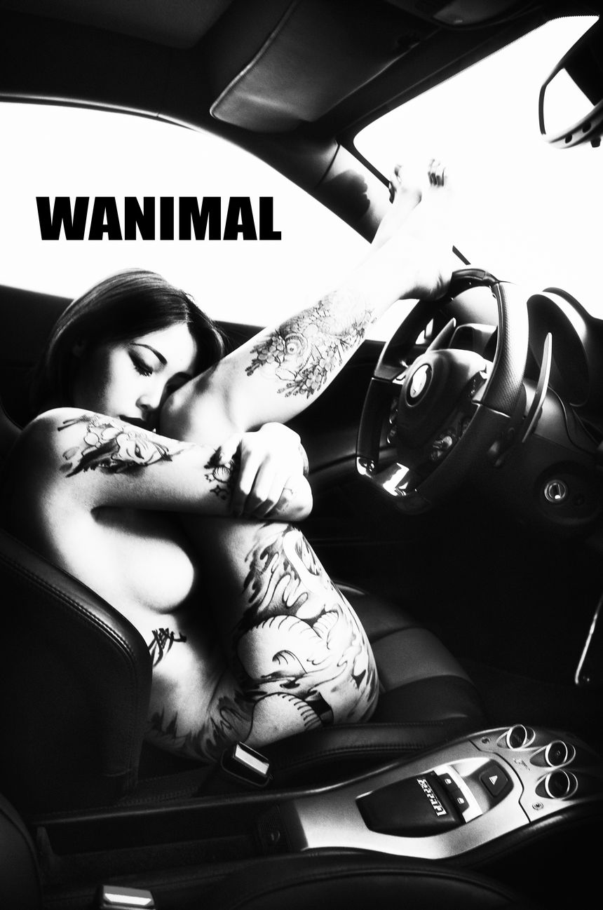 WANIMAL官方出品法拉利女孩VIP无圣光套图（下）[70P]